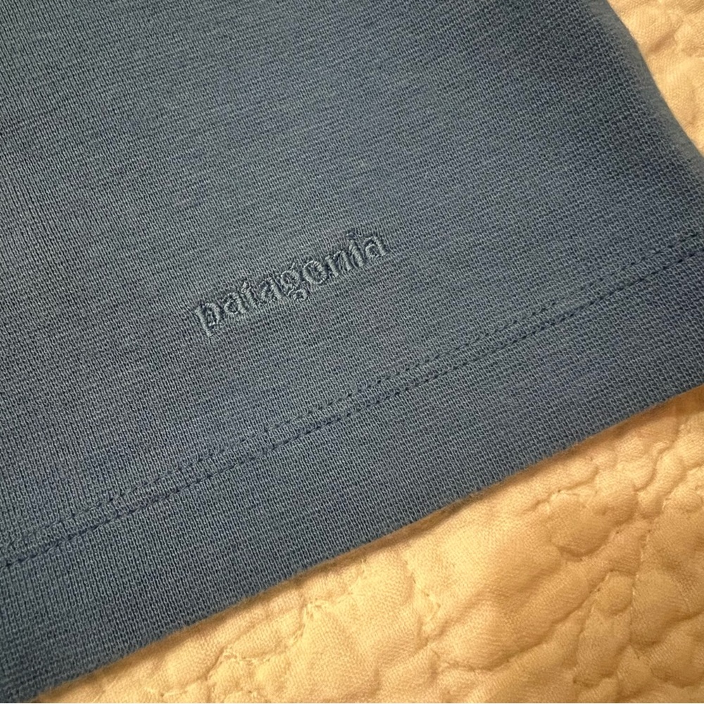 Patagonia Organic Cotton Thick Short Sleeve Tee - Blue - Picture 6 of 13